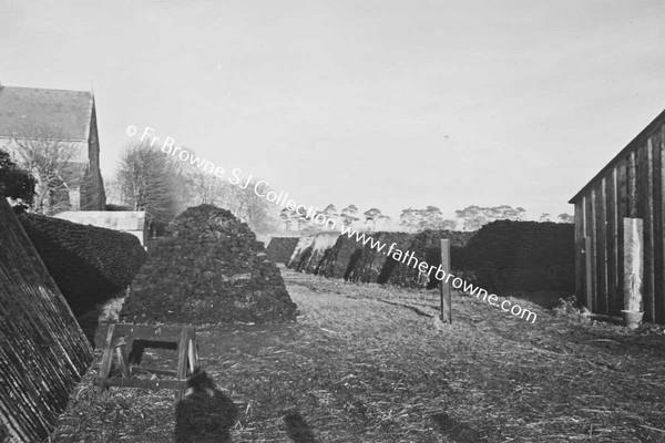 MUINTIR NA TIRE  TURFSTOCKS OUTSIDE PARISH CHURCH